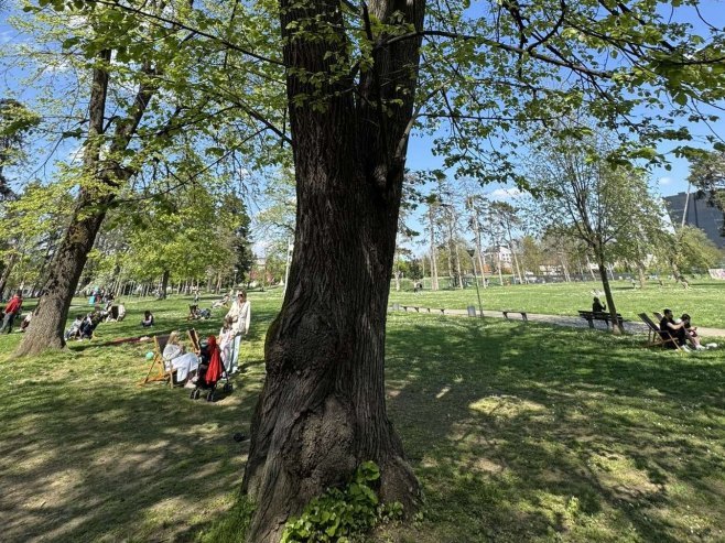 Парк Младен Стојановић Парк Младен Стојановић - Фото: Уступљена фотографија