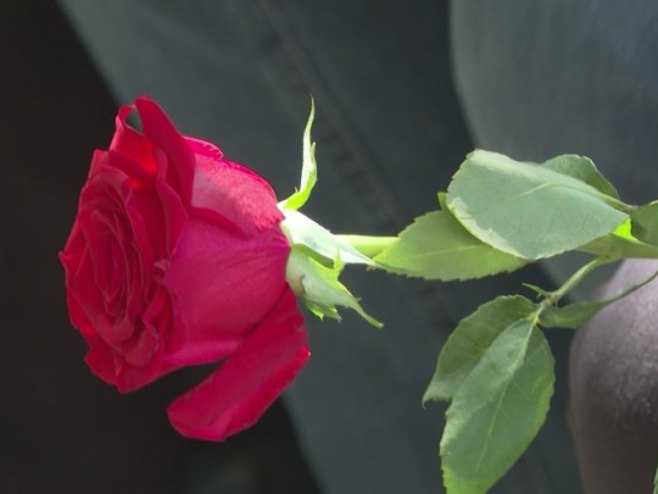 Помен Помен - Фото: РТРС