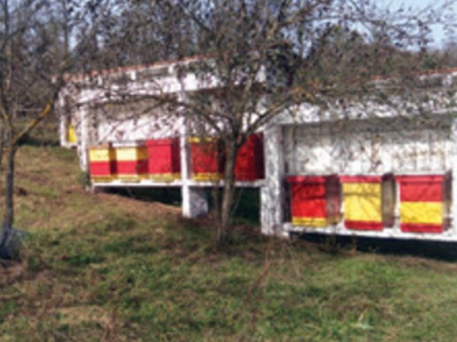 Романијски мед Романијски мед - Фото: СРНА