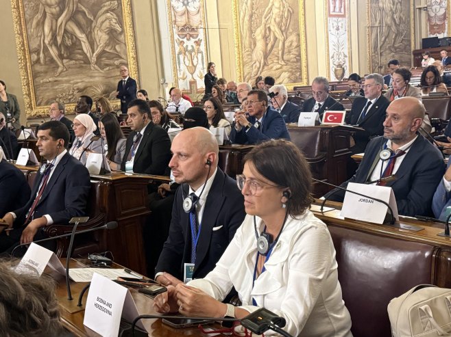 Милан Петковић на Парламентарној скупштини Уније за медитеран Милан Петковић на Парламентарној скупштини Уније за медитеран - Фото: СРНА