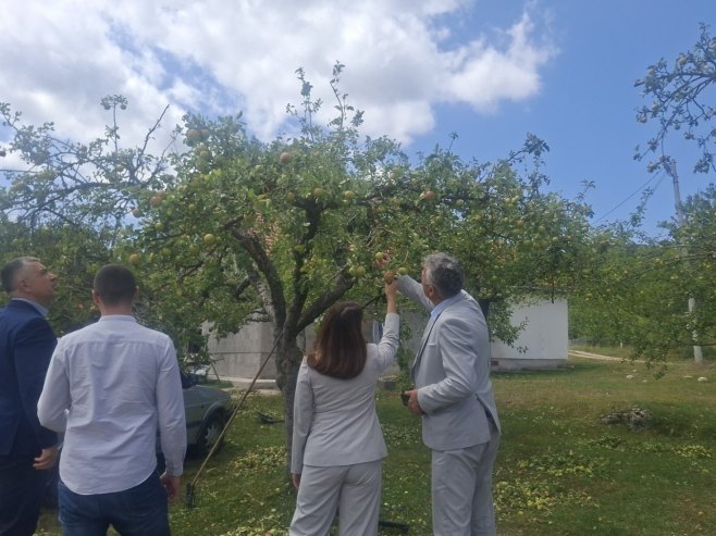 Кузмићева обилази мјеста погођена невременом Кузмићева обилази мјеста погођена невременом - Фото: РТРС