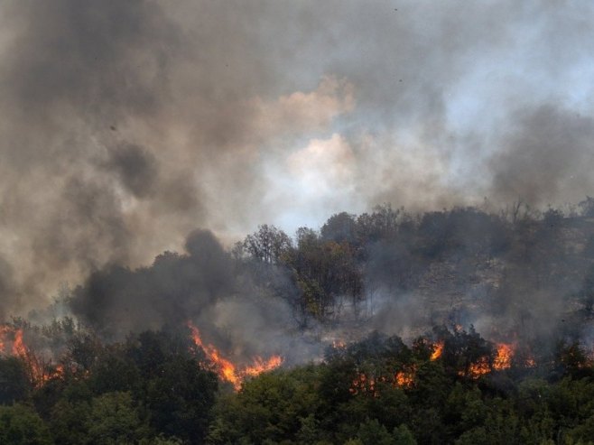 Пожар у Словенији (Фото: EPA/GEORGI LICOVSKI, илустрација) Пожар у Словенији (Фото: EPA/GEORGI LICOVSKI, илустрација) -