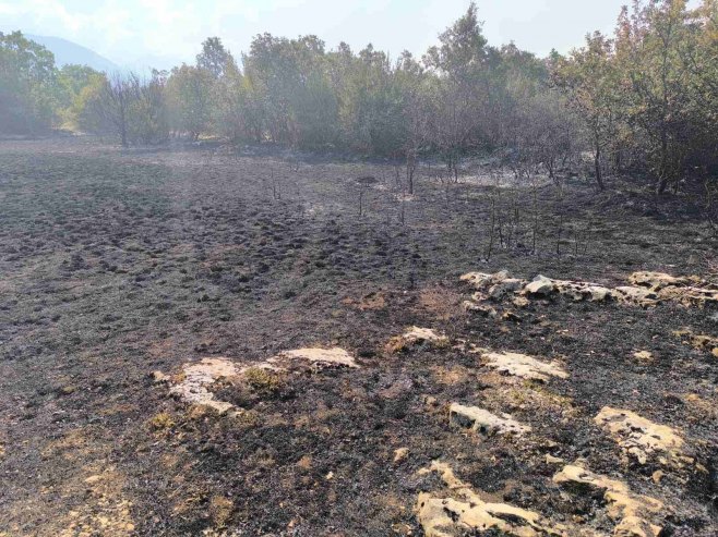 Требиње, пожар Требиње, пожар - Фото: РТРС