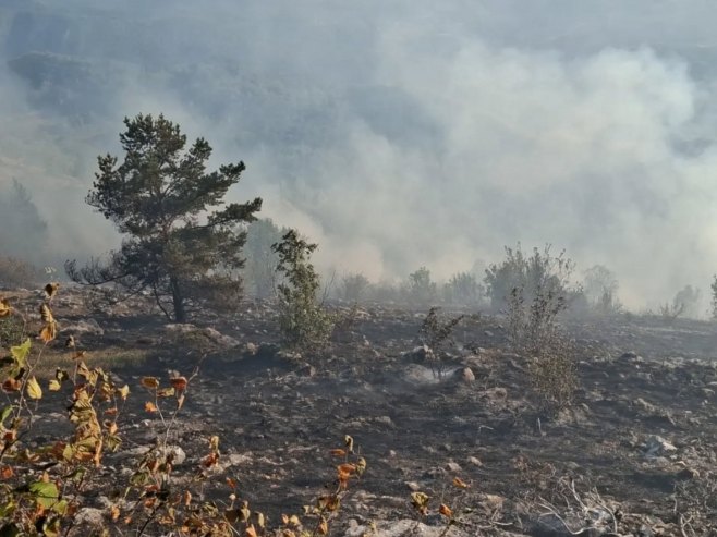 Спријечено ширење ватре према већем подручју Требевића (ФОТО) Спријечено ширење ватре према већем подручју Требевића (ФОТО)