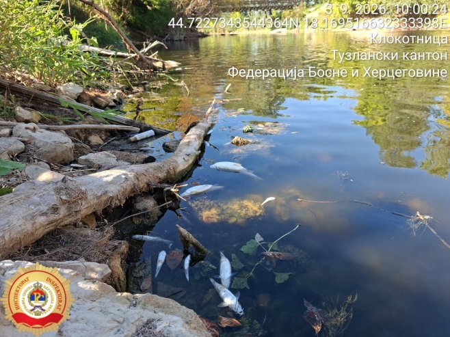 Помор рибе Помор рибе - Фото: Уступљена фотографија