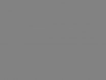 Дневник 1