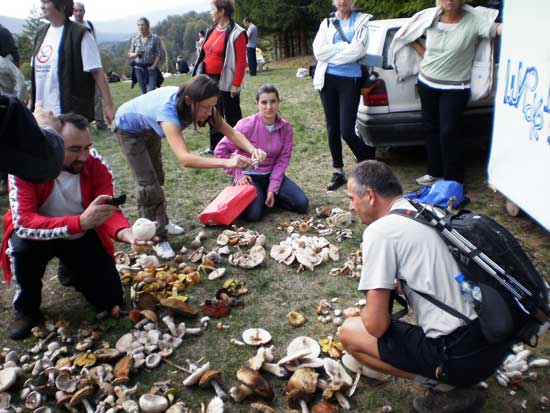 Девета традиционална еколошко-туристичка манифестација "Дани гљива" почела је данас на планини Лисини код Мркоњић Града дружењем планинара и гљивара