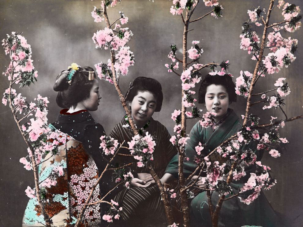 Берба "Жене позирају са цвјетовима Трешње"- фотографија снимљена 1910. године у Јапану