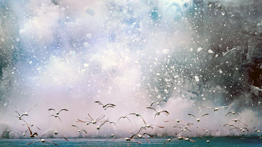 Морске птице бјеже након пуцања глечера