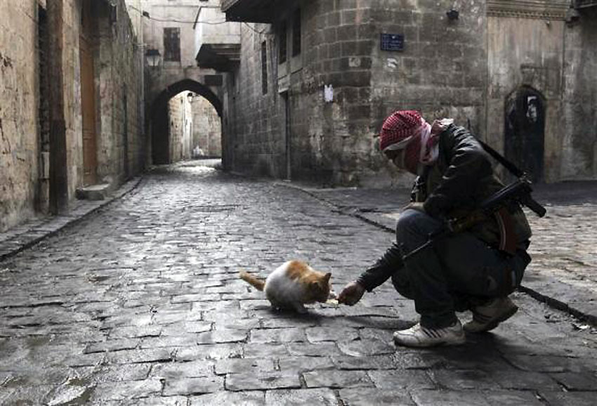 Сиријски борац за слободу храни мачку у старом граду Алепу...