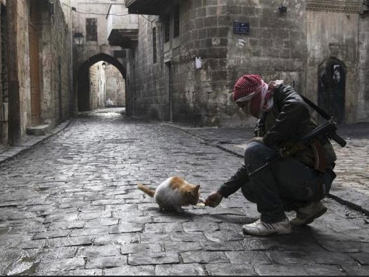 Сиријски војник храни мачку