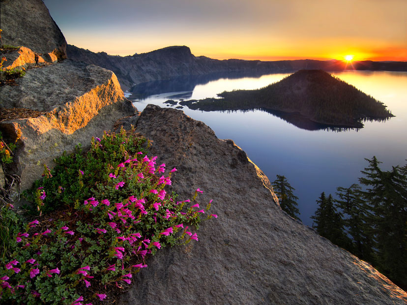 Цвијеће на стијени, фотографија из Националног парка у Орегону.