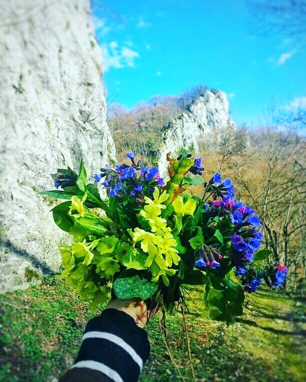 Уторак, 22.март 2016. / Данијела Вигњевић, Приједор - Прољеће на Козари...