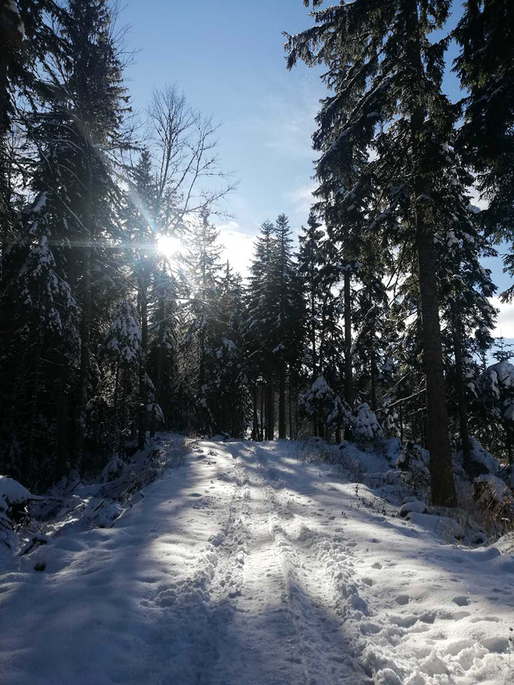 Петак, 27. децембар 2019. / Сташа Шешељ, Равна планина код Источног Сарајева и Пала