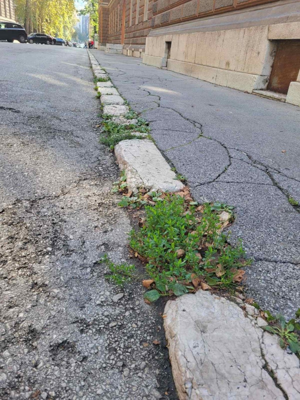 Ivičnjaci (Foto: Ustupljena fotografija)