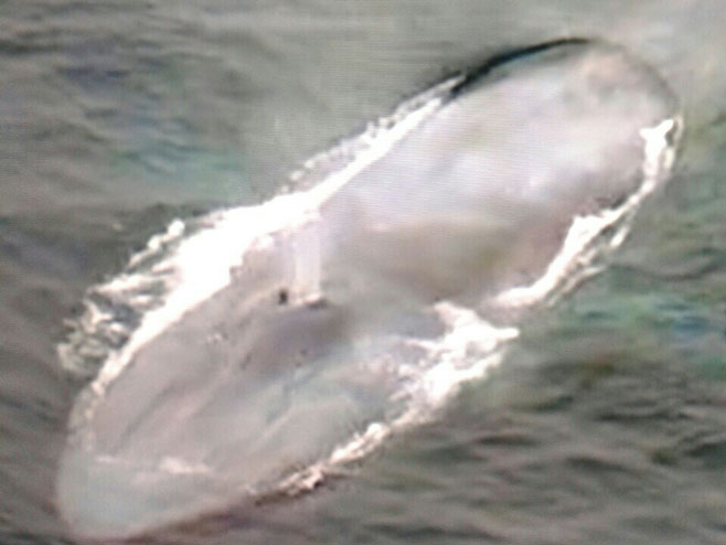 Морска неман: Обала Нове Гвинеје - кит дужи од 30 метара - Фото: РТРС