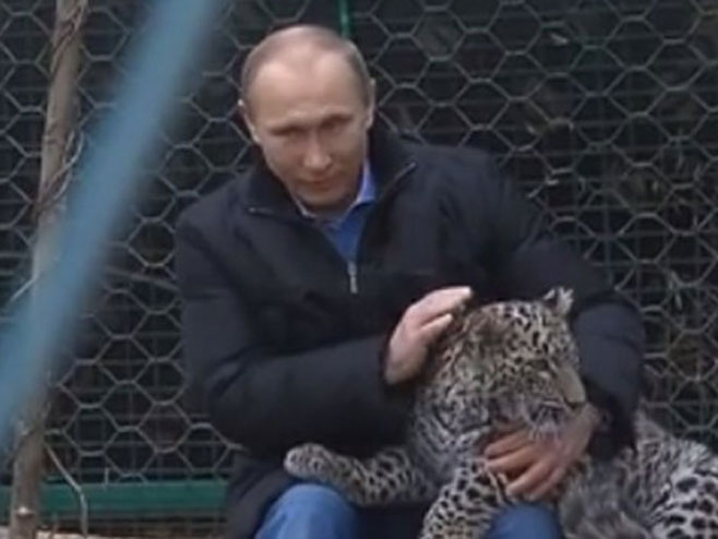 Путин и мачка (Фото:Facebook/RT) - 