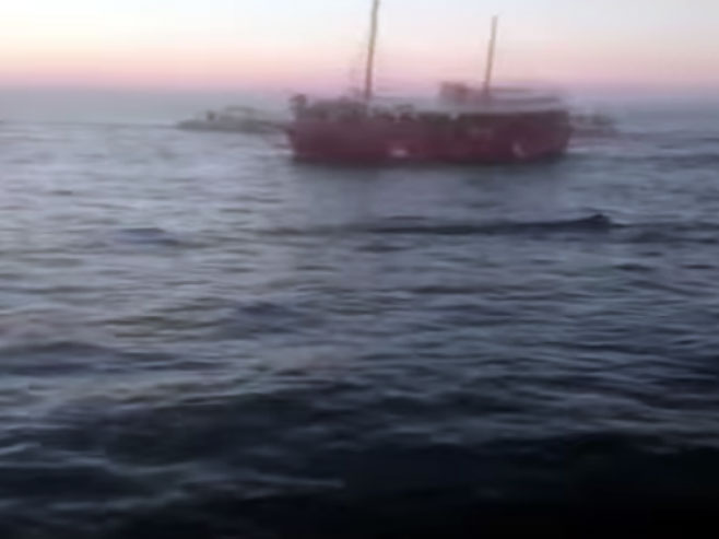 На Јадрану уочено јато китова - Фото: Screenshot/YouTube