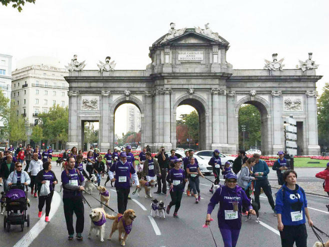 Мадрид-маратон за псе (Фото: stilo.es) - 
