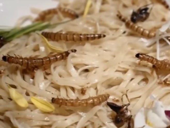 Резанци са инсектима - Фото: Screenshot/YouTube