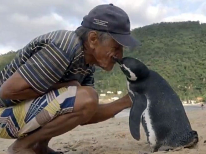 Невјероватно пријатељство пингвина и рибара - Фото: Screenshot/YouTube