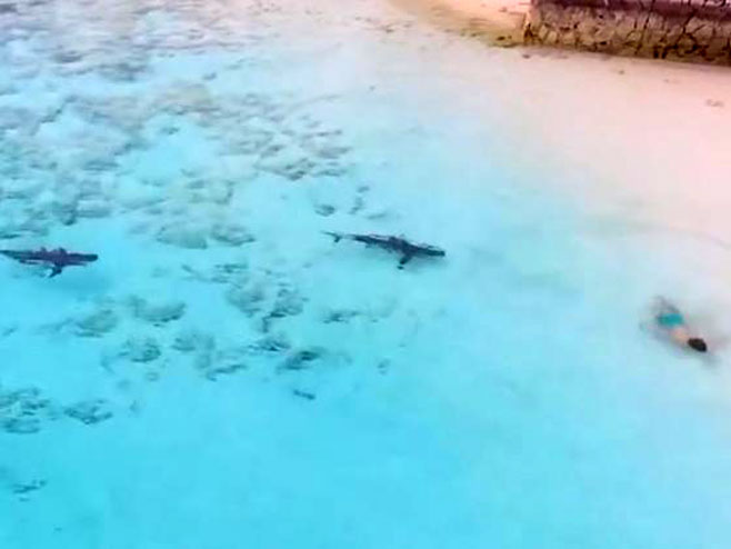 Дјечак за длаку избјегао напад четири ајкуле - Фото: Screenshot/YouTube