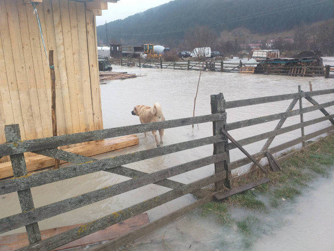 Izlila se Ćehotina (Foto: Goran Malidžan) 