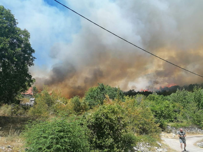 Требиње: Пожар у Бањевцима - Фото: РТРС