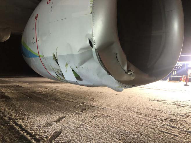Аљаска - авион ударио медвједа (Фото: reddit.com) - 