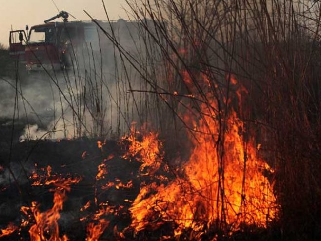 Пожар у околини Требиња (Фото: trebinjelive.info) - 