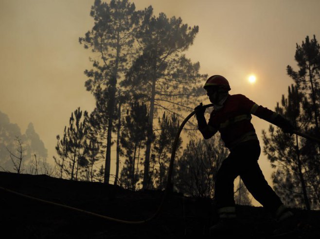 Пожар Шпанија, илустрација (Фото: EPA/PAULO CUNHA) - 