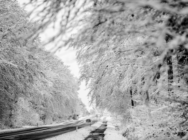 Зима (Фото: EPA-EFE/Mads Claus Rasmussen/илустрација) - 