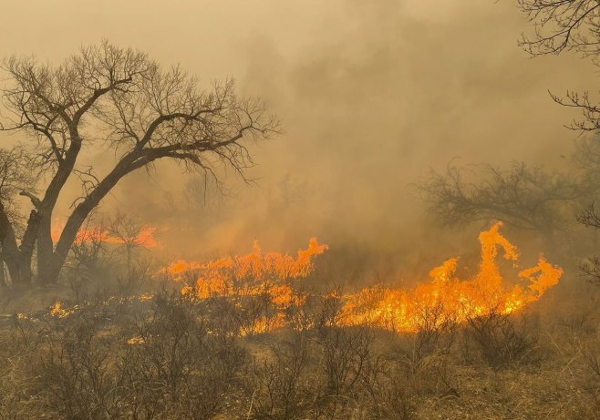 Пожар у Тексасу (Фото: EPA-EFE/GREENVILE) - 