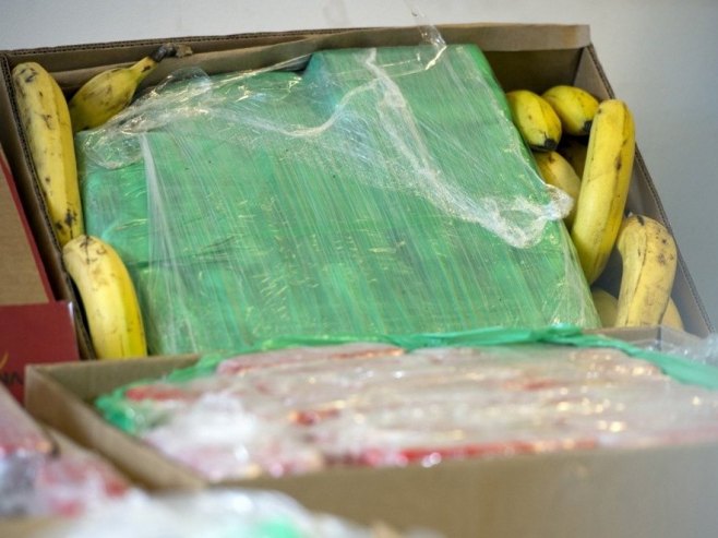Пси открили више од шест тона кокаина у бананама (ФОТО)