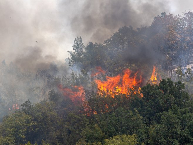 Шумски пожар (Фото: EPA-EFE/GEORGI LICOVSKI/илустрација) - 