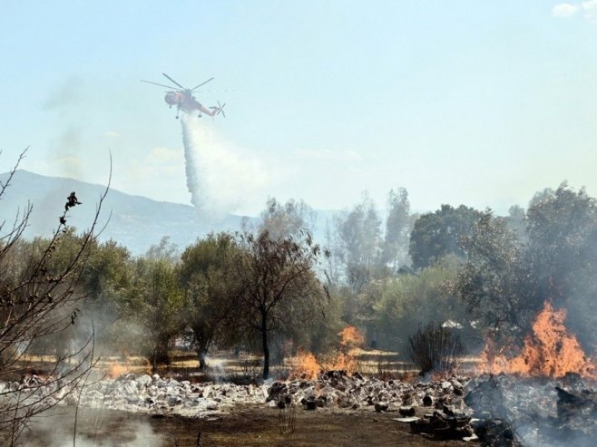 Грчка, пожари (фото: архива/ EPA-EFE/GIOTA LOTSARI) - 