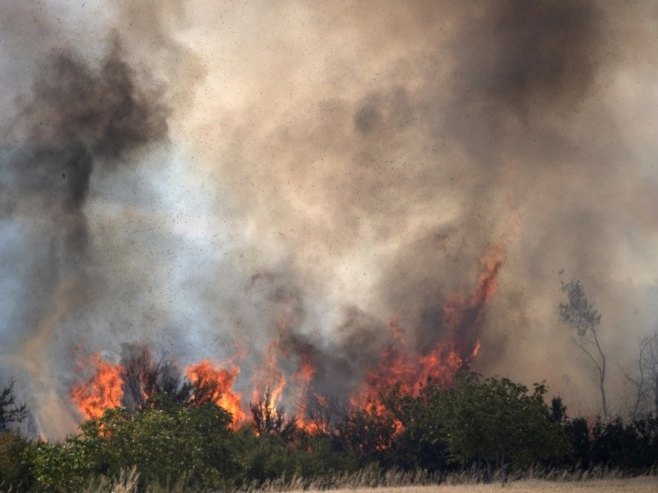 Пожар (Фото: EPA/GEORGI LICOVSKI) - 