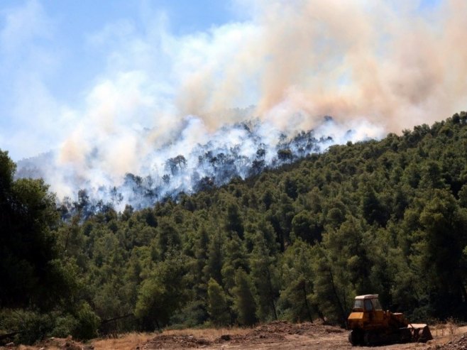 Црна Гора: Борба са ватром на брдима Радовче и Зеленика