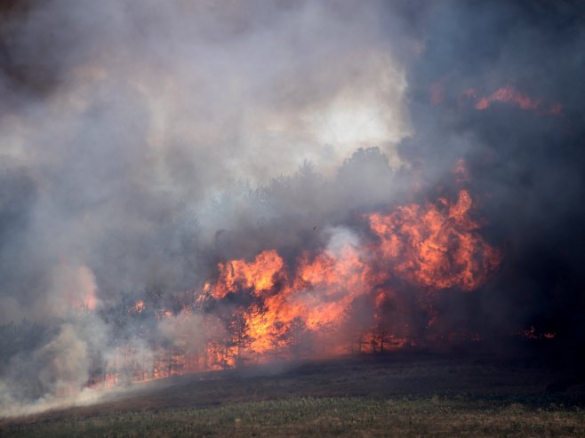 Пожар (Фото: EPA-EFE/GEORGI LICOVSKI/илустрација) - 