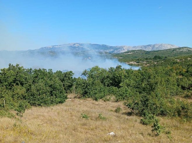 Билећа, под контролом пожар у подручју села Корита - Фото: СРНА
