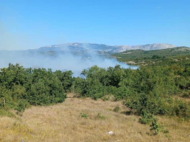 Пожар у рејону села Корита код Билеће; Ватрогасци га ставили под контролу