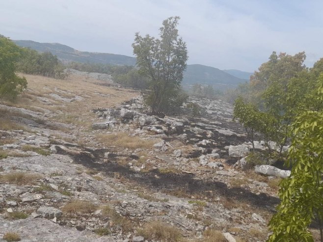 Билећа: Ватрогасци ставили под контролу пожар на подручју села Корита (ФОТО)