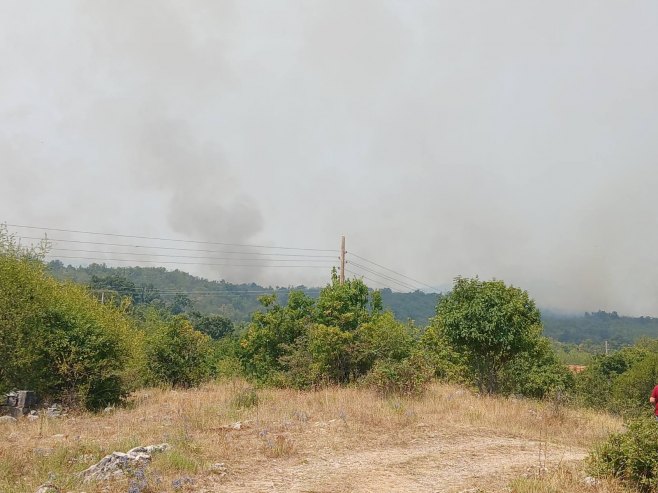 Hercegovina, požari (foto: RTRS)