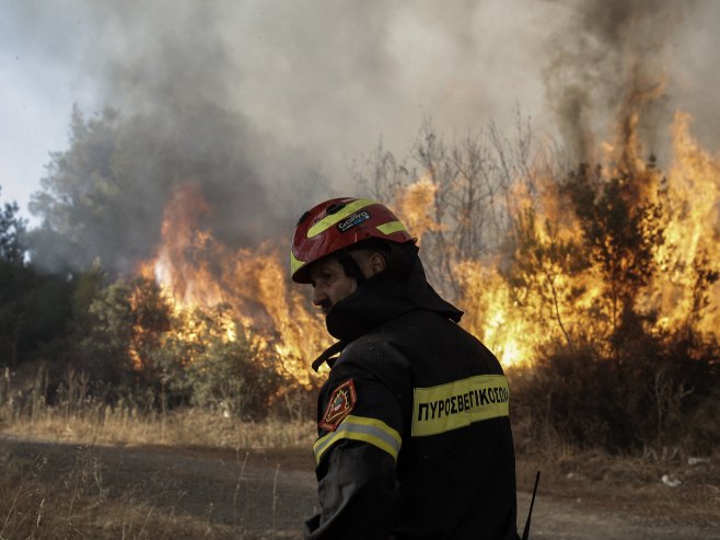 Пожар код Атине (Фото: EPA-EFE/KOSTAS TSIRONIS) - 