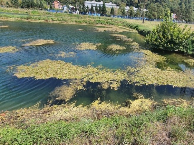 Базени Водовода а.д. Бањалука - Фото: РТРС