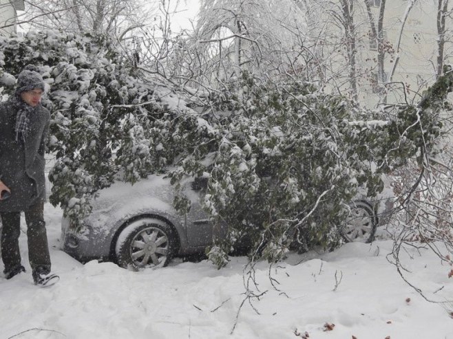 Дрво пало на пјешака у Бањалуци (ВИДЕО)