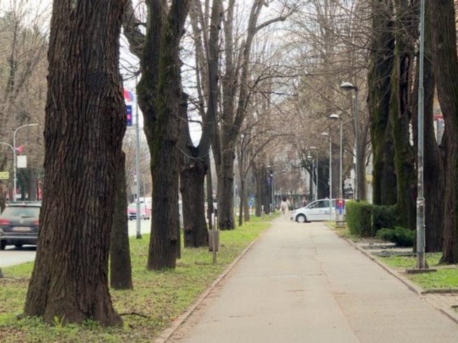 Алеје један од најпрепознатљивих симбола Бањалуке (ВИДЕО) Алеје један од најпрепознатљивих симбола Бањалуке (ВИДЕО)