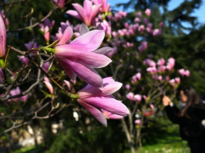 Данас и сутра јак вјетар, наредне седмице стиже право прољеће (ВИДЕО) Данас и сутра јак вјетар, наредне седмице стиже право прољеће (ВИДЕО)
