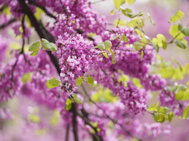 У четвртак сунчано и топлије, али вјетровито (ВИДЕО) У четвртак сунчано и топлије, али вјетровито (ВИДЕО)